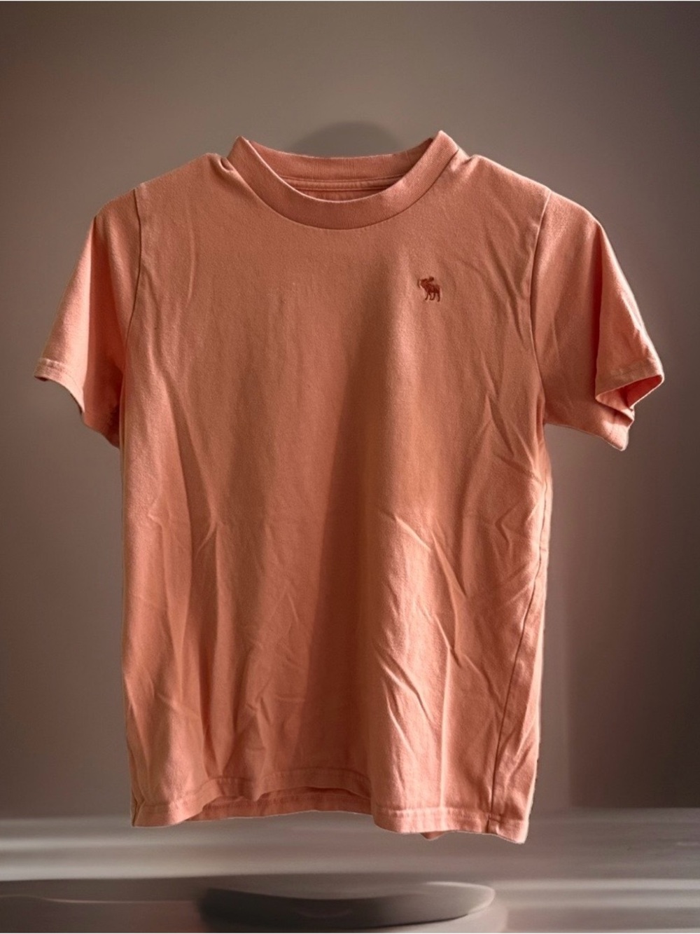 Abercrombie Kids A&F Essentials Boys 14 Pink Classic Fit Cotton Tee Moose Logo